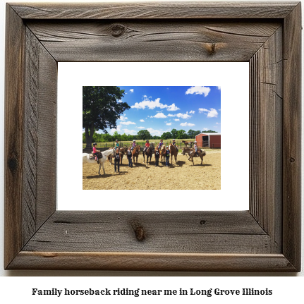 family horseback riding near me in Long Grove, Illinois